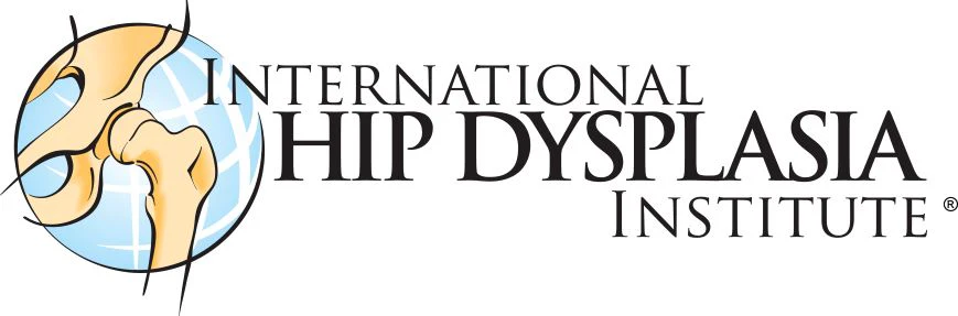 Logo IHDI